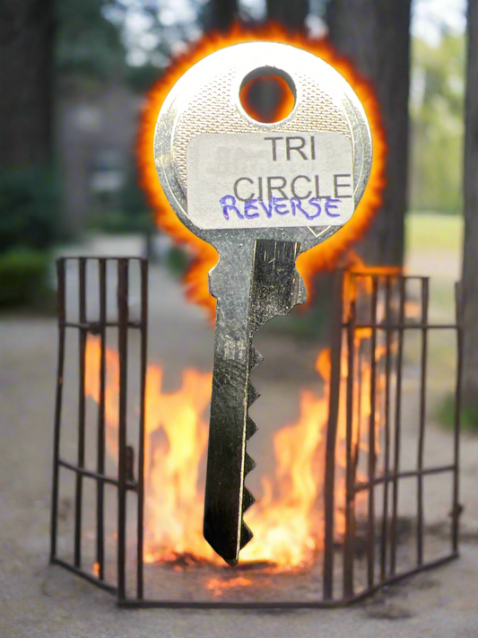 TRI circle 6 pin reverse bump key (traditional profile)