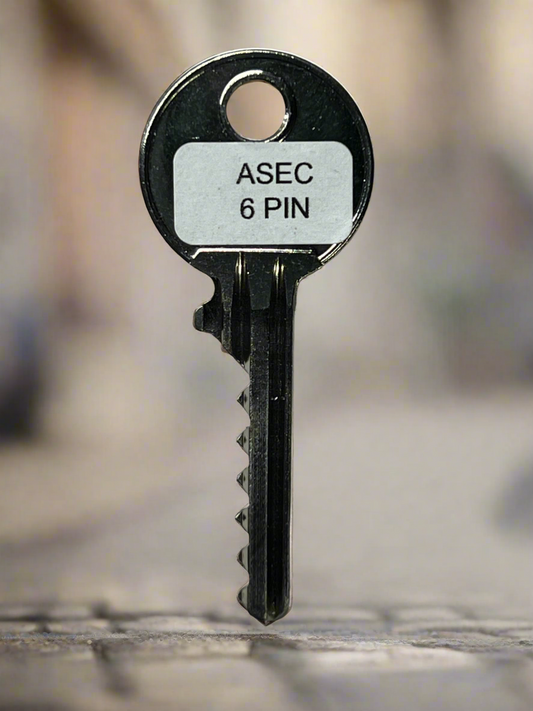 Asec 6 pin bump key