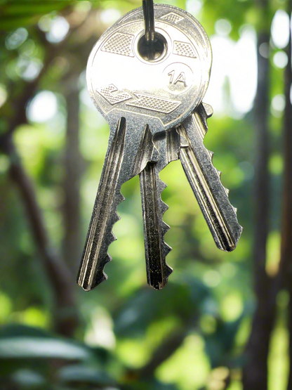 Geba key switch set of 3 bump keys.