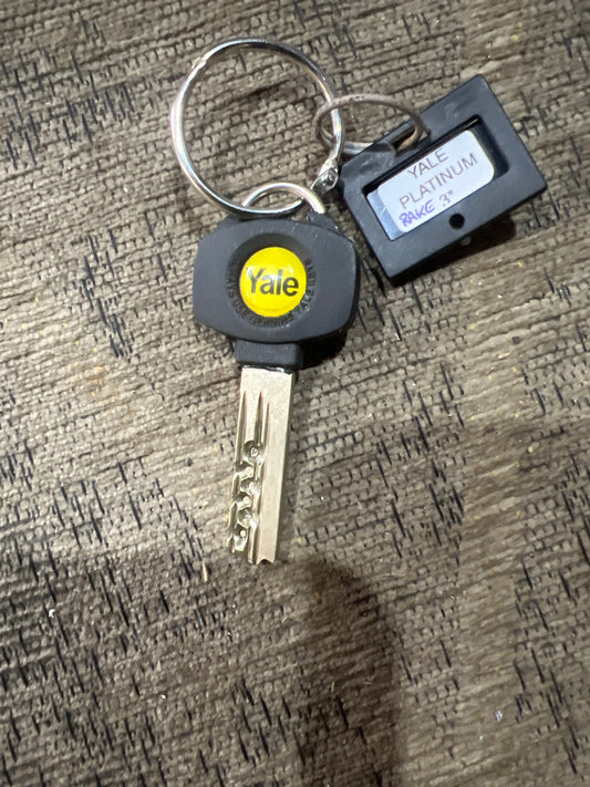 Yale Platinum 3* bump/rake key (new)