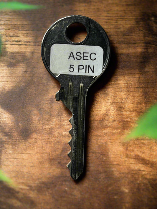 Asec 5 pin bump key